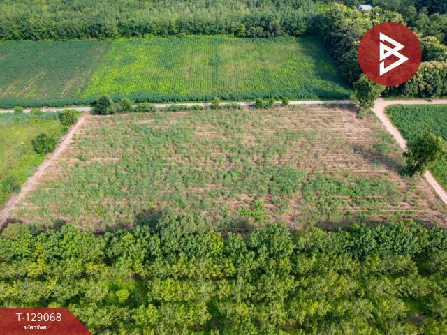 ขายที่ดิน เนื้อที่ 3 งาน 25 ตร.วา อุดรธานี