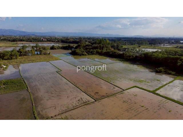 ขายที่ดินผืนใหญ่ เชียงใหม่ – สันกำแพง  เนื้อที่รวม 8 ไร่ ขายรวม 3