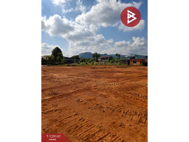 ขายที่ดิน เนื้อที่ 3 งาน ดอยฮาง เชียงราย