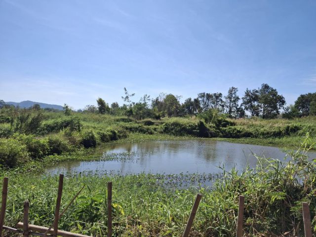 ขายด่วน!!!!! ที่ดินแปลงเล็กโฉนด 1-3-91 ไร่ ติดน้ำ วิวภูเขาล้อมรอบที่ ต.ชำผักแพว อ.แก่งคอย จ.สระบุรี ไร่ละ 500,000.-