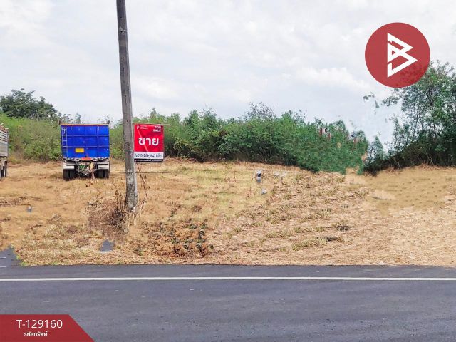 ขายที่ดินติดถนน เนื้อที่ 3 ไร่ หนองไผ่ เพชรบูรณ์