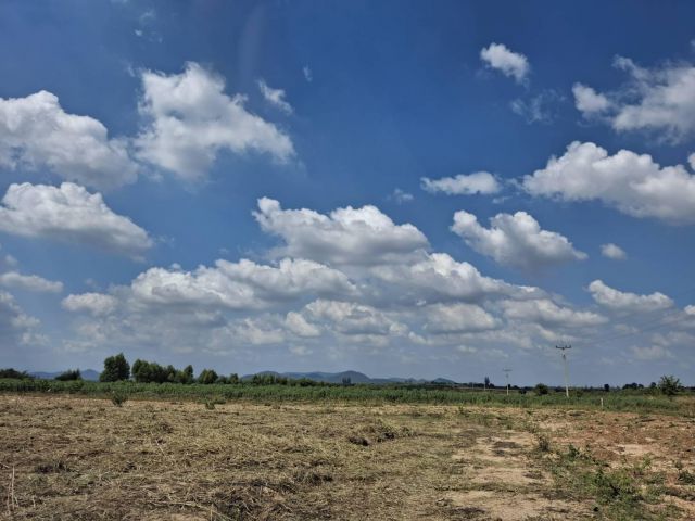 ขายด่วน!! ที่ดิน ภ.บ.ท.5 สวยๆ 161 ไร่ ต.รางบัว อ.จอมบึง จ.ราชบุรี แบ่งขายแปลงละ 50 ไร่ ขึ้นไป ราคาไร่ละ 180,000.- เท่านั