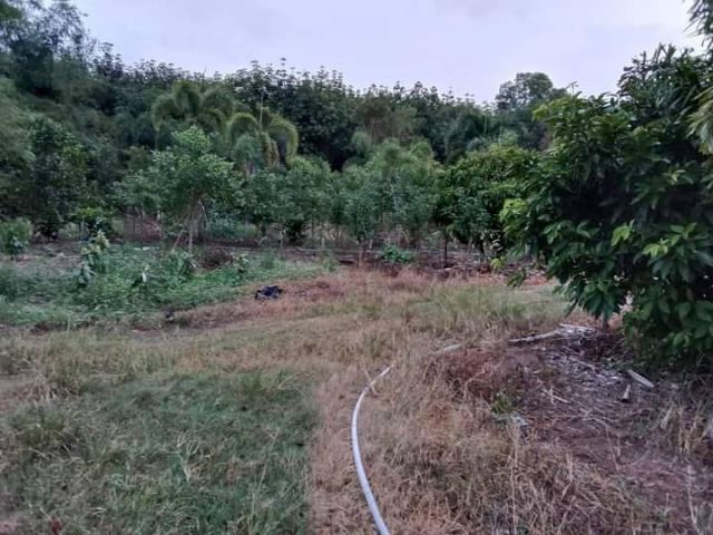 L1180 ขายที่ดิน 8 ไร่ เมืองปราจีนบุรี