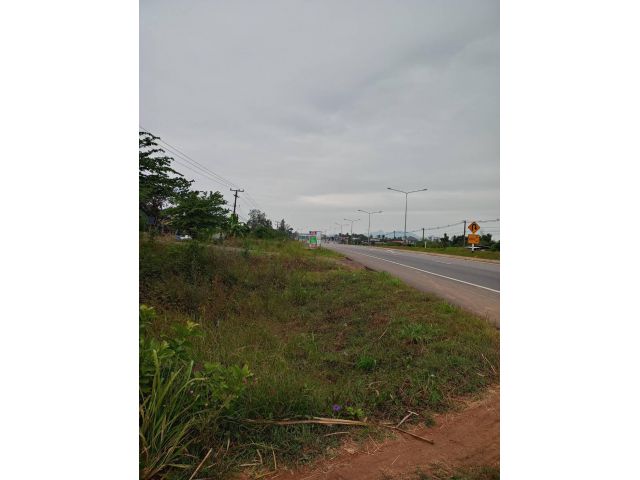 ขายที่ดินแปลงสวย 233 ตรว. ต.ห้วยส้ม อ.ภูกระดึง จ.เลย ติดถนนใหญ่ 4 เลนเส้น 201 ภูกระดึง-ชุมแพ-ข่อนแก่น