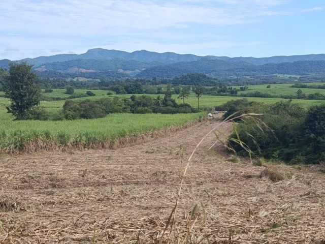 ขายที่ดินแปลงสวย(โฉนด สปก4-01) 50 ไร่ ต.ผานกเค้า อ.ภูกระดึง จ.เลย ใกล้สถานที่ท่องเที่ยวอุทยานแห่งชาติภูกระดึง