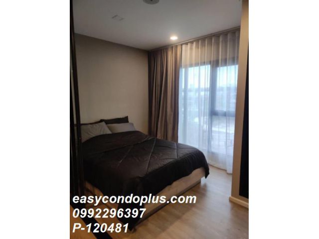 P-120481 ให้เช่า คอนโด โมดิซ สุขุมวิท 50 แขวงพระโขนง เขตคลองเตย กรุงเทพมหานคร พร้อมอยู่ ราคาถูก Line Id: @easycondoplus