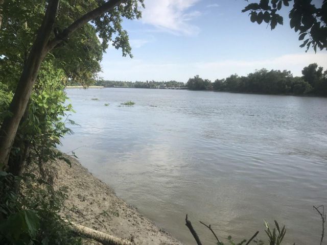 SALE !!!ขายที่ดินติดแม่น้ำแม่กลอง-อัมพวาสมุทรสงคราม เนื้อที่ 1.5 ไร่ ขายเหมา 10 ล้าน