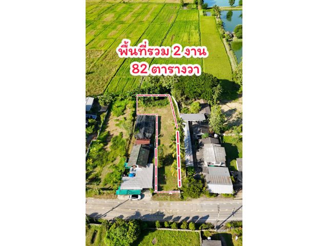 ที่ดินแปลงสวย วิวทุ่งนา ติดถนน บ้านป่าข่า