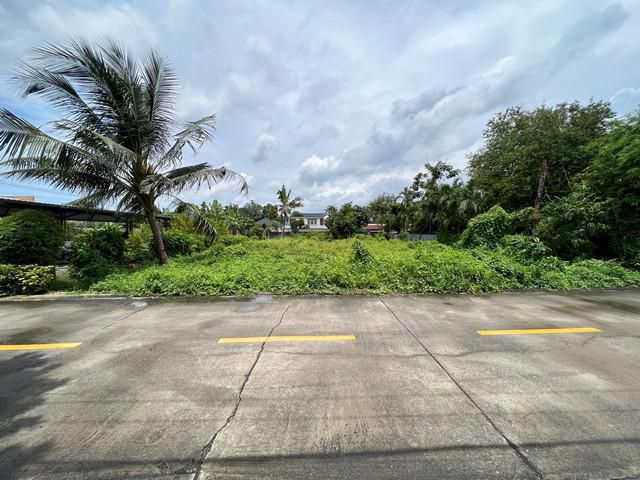 ขายที่ดินเปล่า เนื้อที่ 203 ตารางวา ซอยนนทบุรี 42