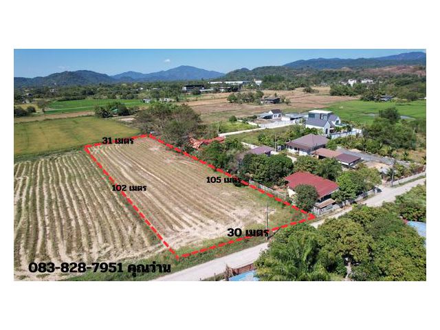 ขายที่ดิน 2 ไร่ หมู่ 5 ตำบลสาริกา มีโฉนด ติดถนนคอนกรีต ขายไร่ละ  2.1 ล้านบาท