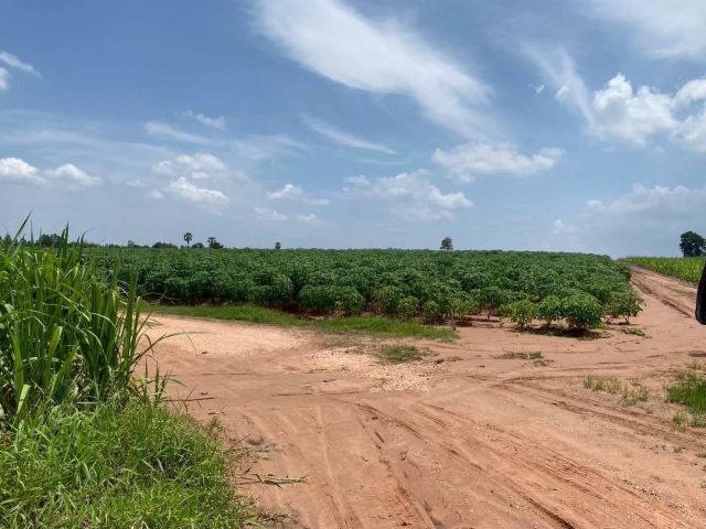 ให้เช่าที่ดิน(โฉนด) 1023-ไร่ไร่ละ2000-/ปี อ.ห้วยกระเจา จ.กาญจนบุรี.ค่านายหน้าไร่ล1000-เช่ายาวได้