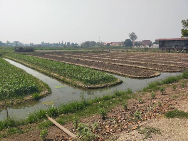 ให้เช่าที่ดิน/ที่สวนผัก 10ไร่ ไร่ละ4000-/ปี อ.ดอนตูม จ.นครปฐม.ทำสวนผัก/สวนผสม.เช่ายาวได้.ค่านายหน้าไร่ละ2000-