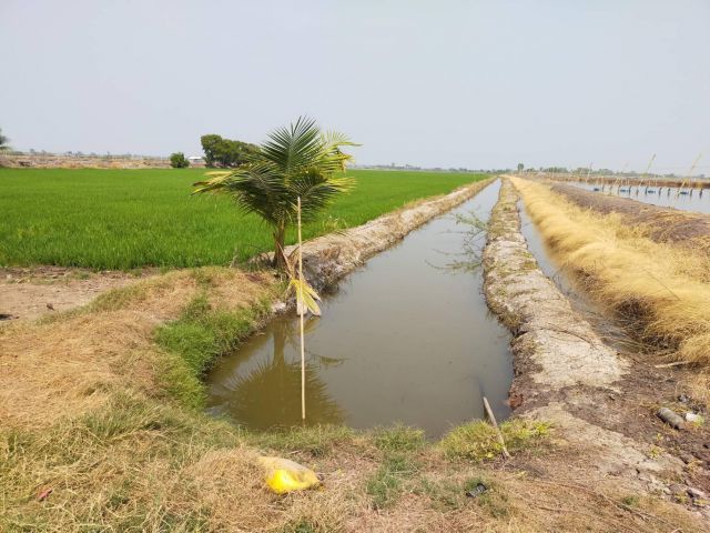 ขายที่ดิน 500-ไร่ไร่ละ380000-ติดถนนหินคลุก+คลอง อ.กำแพงแสน จ.นครปฐม.เหมาะทำสวนมะพร้าว/ฟาร์มกุ้งปลาไก่/น้ำไม่ท่วมใกล้3231