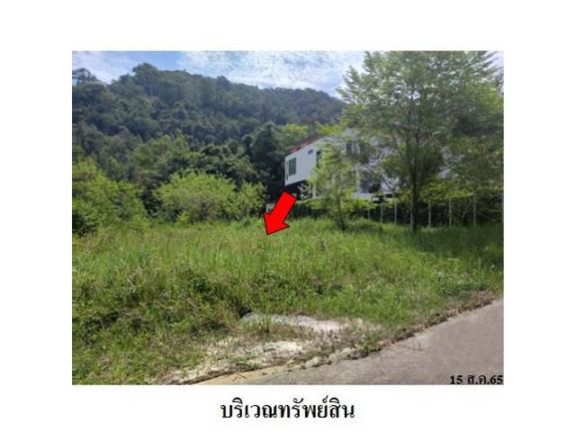 ขายที่ดินว่างเปล่า บ้านสวนธนวัฒน์ ต.น้ำน้อย อ.หาดใหญ่ จ.สงขลา