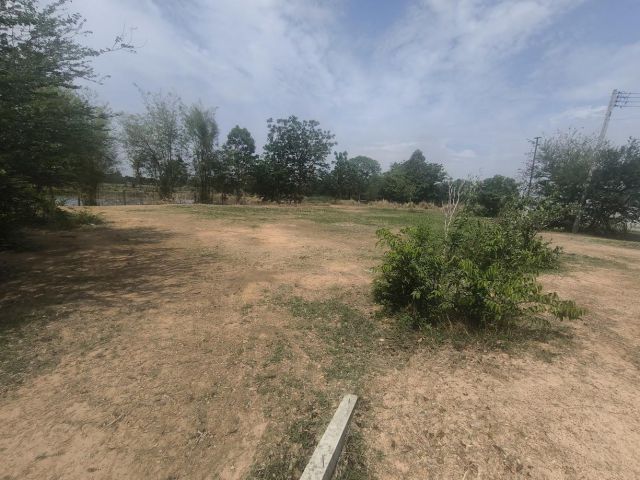 ที่ดินบ้านโนนสูง 2แปลง ถมแล้วพร้อมปลูกบ้าน 128.5 ตรว. / 130.5 ตรว.