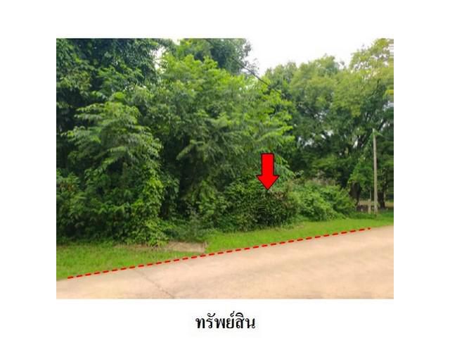 ขายที่ดินว่างเปล่า ต.คลองแห อำเภอ หาดใหญ่ จังหวัด สงขลา