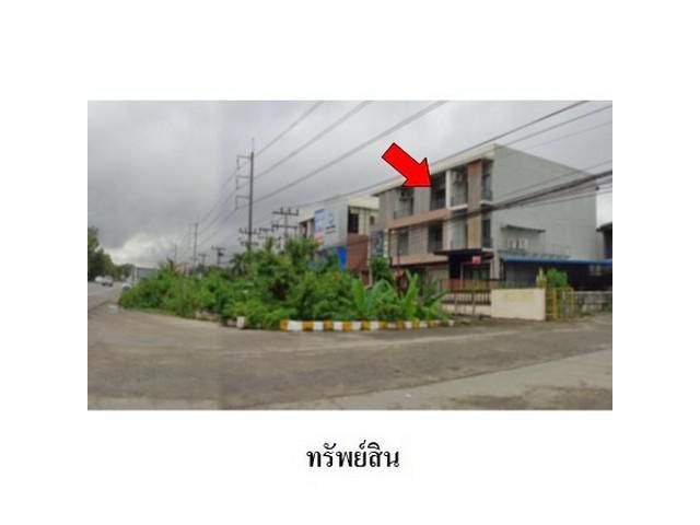 ขายอาคารพาณิชย์ ต.คอหงส์ อ.หาดใหญ่ จ.สงขลา