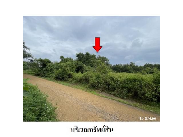 ขายที่ดินว่างเปล่า ถนน อัมพวา ตำบล คลองแห อำเภอ หาดใหญ่ จังหวัด ส