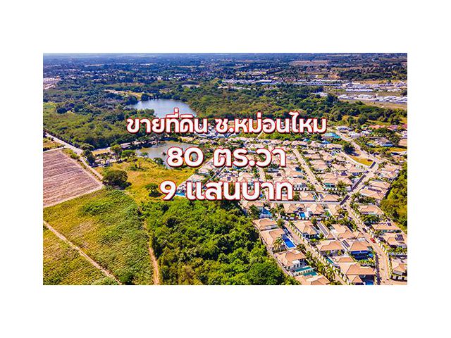 ที่ดินหัวหิน หลังบ้านศิลปิน 80 ตร.วา