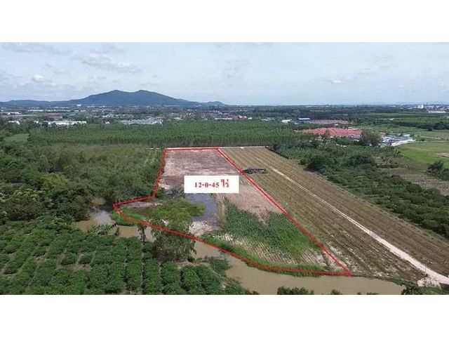 ขายที่ดินสวย 12 ไร่ ซอย ประชุมมิตร 14 บ้านฉาง ระยอง