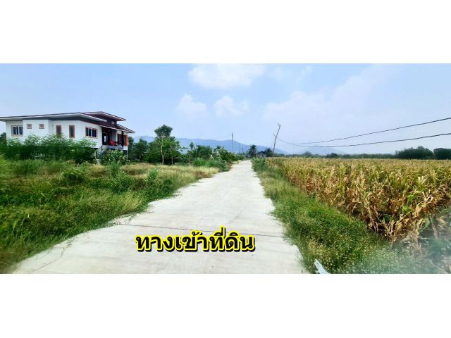 ขายที่ 2 งาน 70 ตรว.บ้านโตก