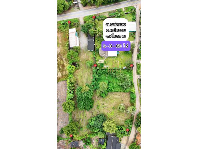 ขายที่ดินติดถนนใหญ่ ทางหลวงแผ่นดินหมายเลข 109 (สายแม่สรวย–ฝาง) ตำบลแม่สรวย อำเภอแม่สรวย จังหวัดเชียงราย