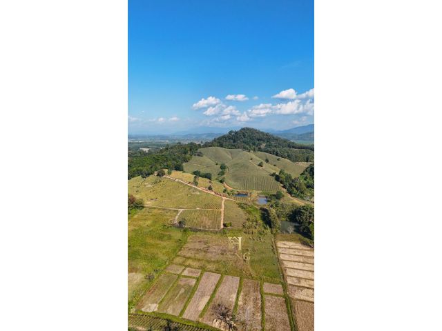 ที่ดินวิวภูเขา 88 ไร่ ติดถนนใหญ่ ทำเลแม่จันที่กำลังมาแรง!