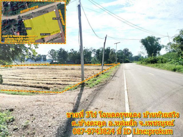 ขายที่ 3 ไร่ติดถนนลาดยาง