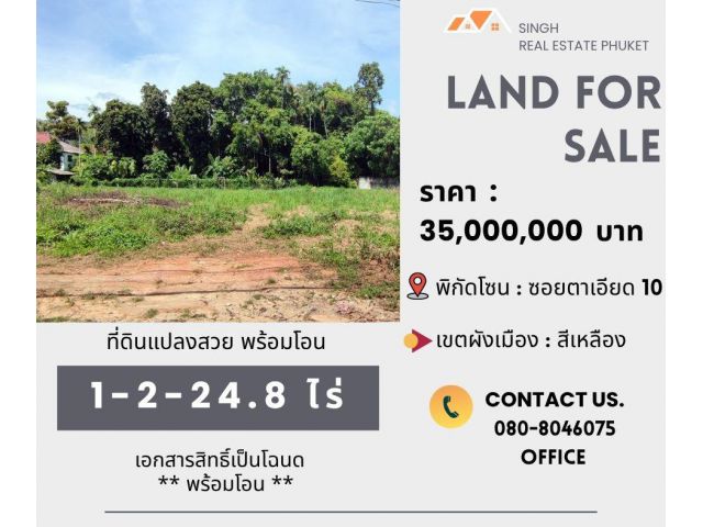 ** LAND FOR SALE ** ที่ดินเปล่า 1-2-24.8 ไร่ ( ซอย ตาเอียด 10 - ฉลอง )