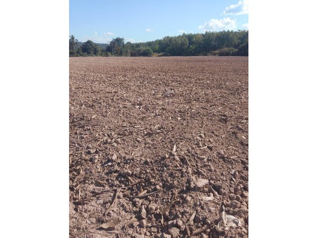 ด่วนที่สุด ขายที่ทำไร่ จำนวน 70 ไร