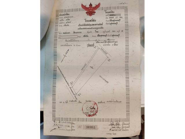 ขายด่วน ขายขาดทุน ที่ดินเปล่าถมแล้ว ติดถนนหลวง เหมาะค้าขาย ต.ตลิงชัน สุพรรณบุรี
