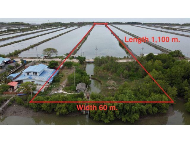 ขายที่ดินติดทะเล 40 ไร่ บางขุนเทียน – พันท้ายนรสิงห์ ใกล้จุดชมปลาโลมา | มีรายได้จากการเลี้ยงสัตว์น้ำ | ใกล้กรุงเทพ ราคาห