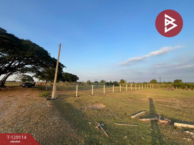 ขายที่ดิน เนื้อที่ 3 งาน ปากท่อ ราชบุรี