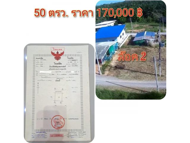 ขายที่ดิน 50 ตรว. ราคา 170,000 บาท บ้านหนองจิกพัฒนา ต.ไร่ใหม่ อ.สามร้อยยอด จ.ประจวบคีรีขันธ์