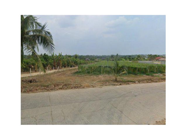 ขายที่ดิน 4 ไร่ ต.หนองไผ่แก้ว อ.บ้าบึง ชลบุรี