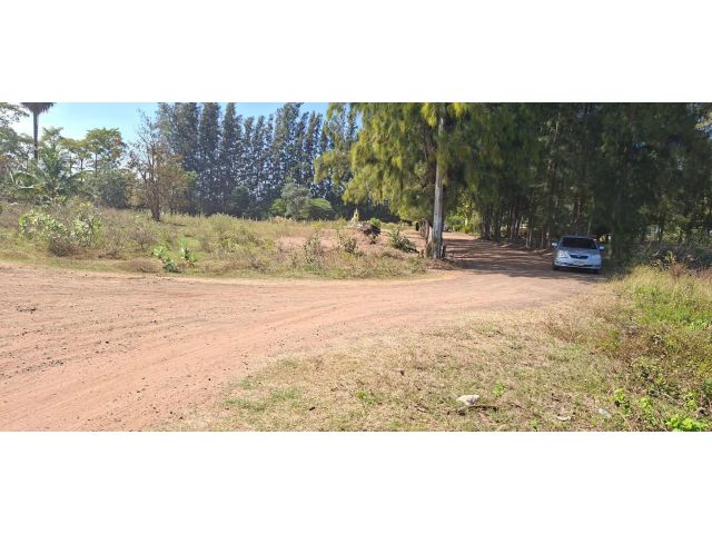 ขายที่ดิน หลังเขตอุตสาหกรรมสุรนารี