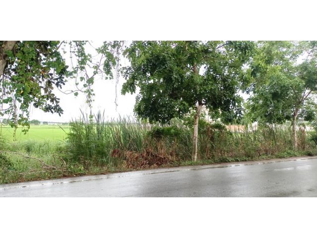 ขายที่ดิน 3 ไร่ คลองเจ็ด อ.คลองหลวง จ.ปทุมธานี