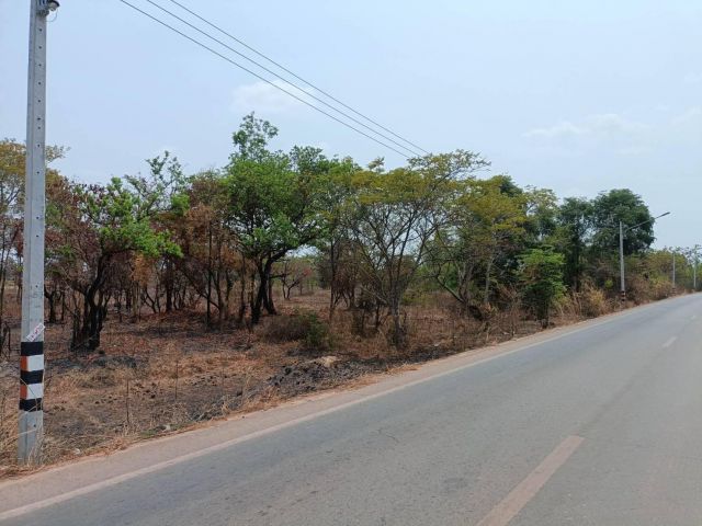 L1187 ขายที่ดินผังสีม่วง ยกแปลง/แบ่งขาย 29 ไร่ กบินทร์บุรี ปราจีนบุรี