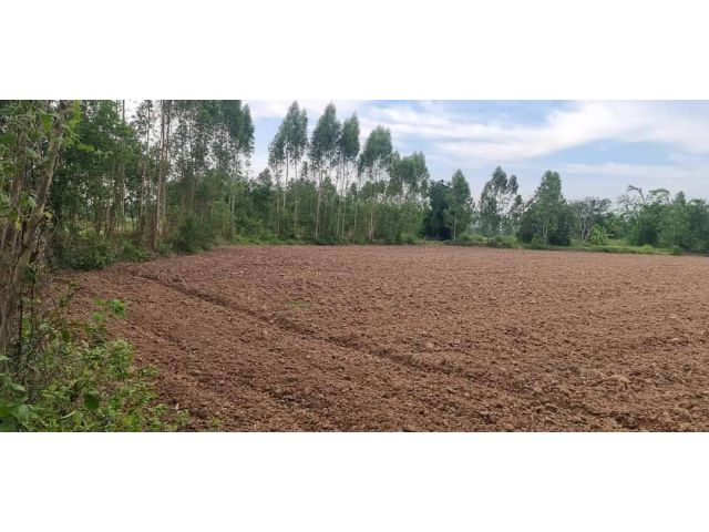 L1188 ขายที่ดิน 8 ไร่ ประจันตคาม ปราจีนบุรี