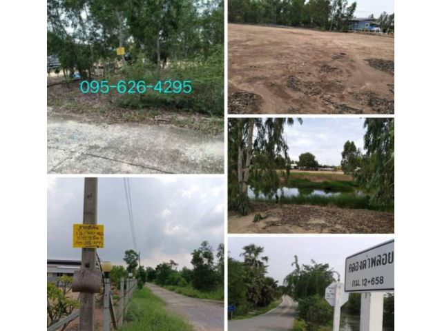 *ที่ดิน 400 ตร.ว. บางเลน ใกล้วัดไผ่โรงวัว ใกล้ศูนย์ธรรมทาน ภูริญาโณ