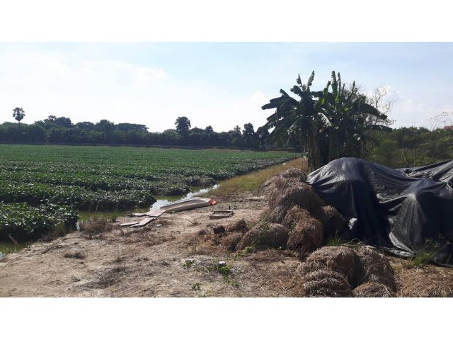 ขายที่ดิน เนื้อที่ 29ไร่ 2งาน 2ตารางวา สวนเกษตร  อยู่ในซอยวิทยาลัยคริสเตียน