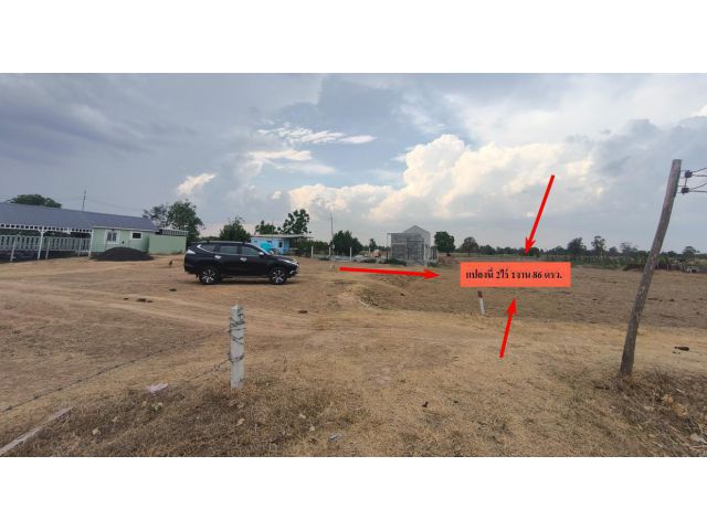 ขาย 2ไร่ 1งาน 68ตรว. บ้านไทรโยง เมืองบุรีรัมย์