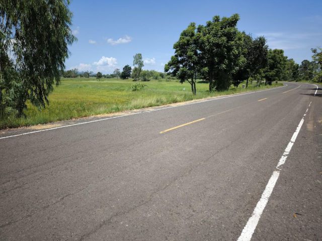 ขายที่ดินโฉนด 3แปลง ติดถนนบ้านโคกย่าง-บ้านศรีสุข