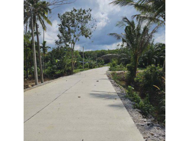 ขายที่ดิน 9 ไร่ ต.ดอนสัก อ.ดอนสัก จ.สุราษฎร์ธานี