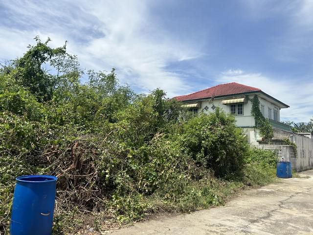 ขายที่ดินเปล่า หมู่บ้านกำแพงแสนกรีนแลนด์ นครปฐม