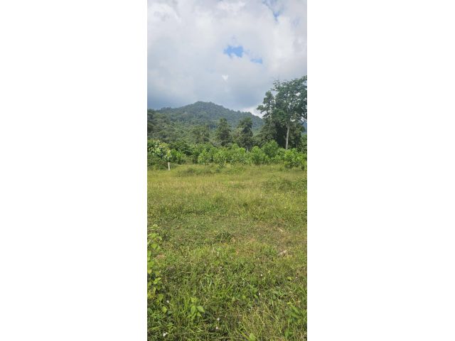 ขายที่ดินภูเก็ต 5ไร่ๆละ 2.5ล้านบาท