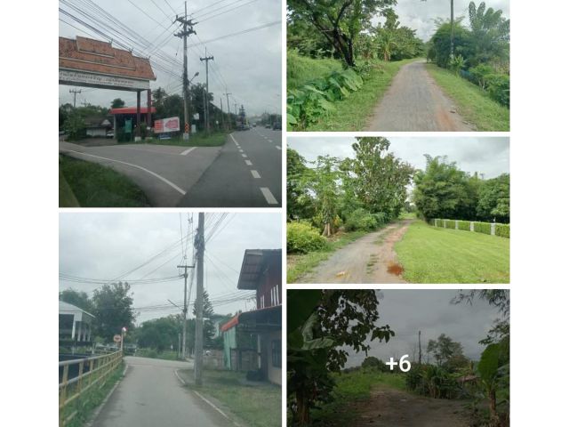 ฿*ขายที่ดิน4ไร่1งาน33ตารางวา.อยู่บ้านโพธิ์ทองเจริญ ต.เชิงดอย อ.ดอยสะเก็ด วิวล์ดอย ใกล้ถนนใหญ่สายดอยสะเก็ดขายถูกมากๆ