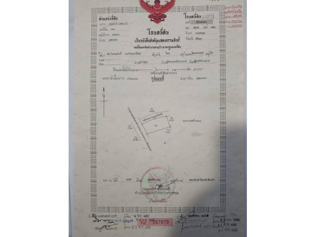 ขายที่ดินเปล่า ทำเลทอง ใกล้แหล่งชุมชน  อำเภอควนขนุน จังหวัดพัทลุง