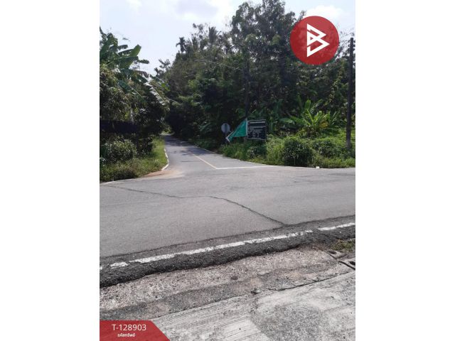 ขายที่ดิน เนื้อที่ 1 งาน 82 ตร.วา ท้ายเหมือง พังงา