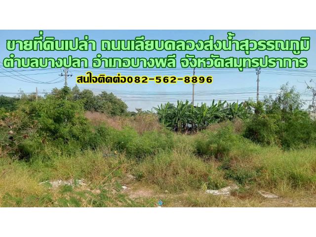 ขายที่ดินเปล่า ถนนเลียบคลองส่งน้ำสุวรรณภูมิ ตำบลบางปลา อำเภอบางพลี จังหวัดสมุทรปราการ